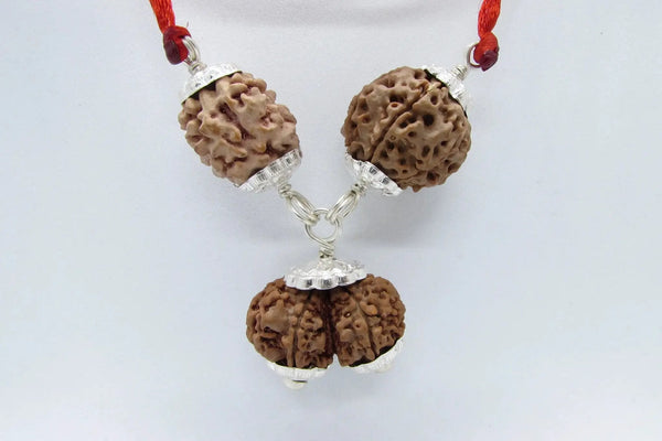 Harmonious Marriage Rudraksha Pendant - Enhance Your Bond | Brahmatells by Brahmatells