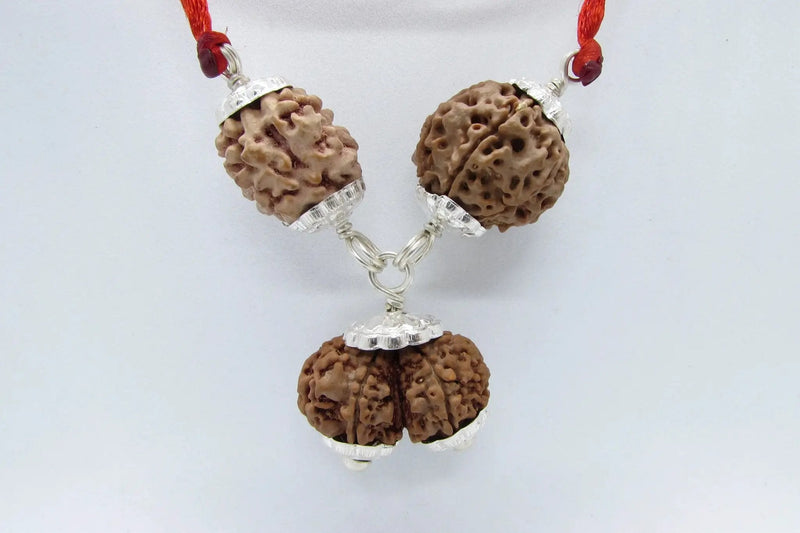 Harmonious Marriage Rudraksha Pendant - Enhance Your Bond | Brahmatells by Brahmatells