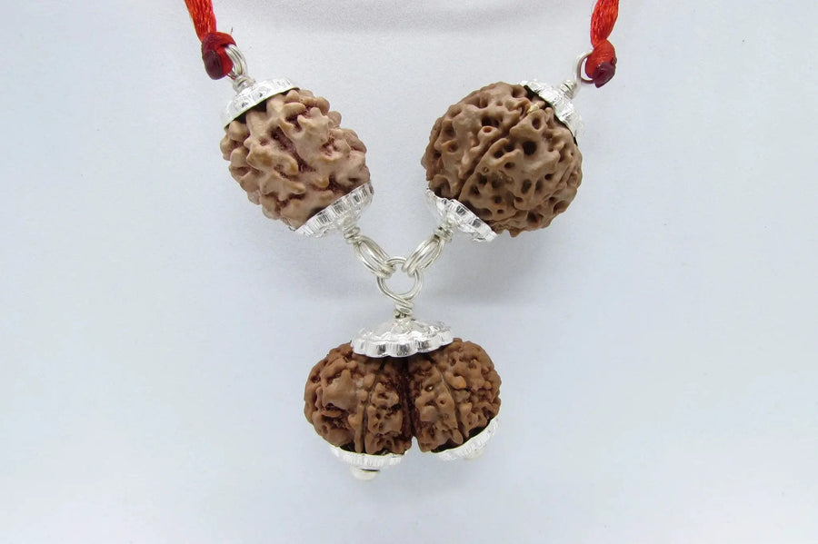 Harmonious Marriage Rudraksha Pendant - Enhance Your Bond | Brahmatells by Brahmatells