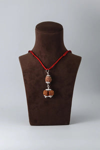 Harmonize Relationships with 2 Mukhi & Gaurishankar Rudraksha | Brahmatells by Brahmatells