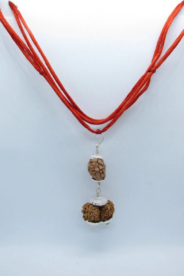 Harmonize Relationships with 2 Mukhi & Gaurishankar Rudraksha | Brahmatells by Brahmatells