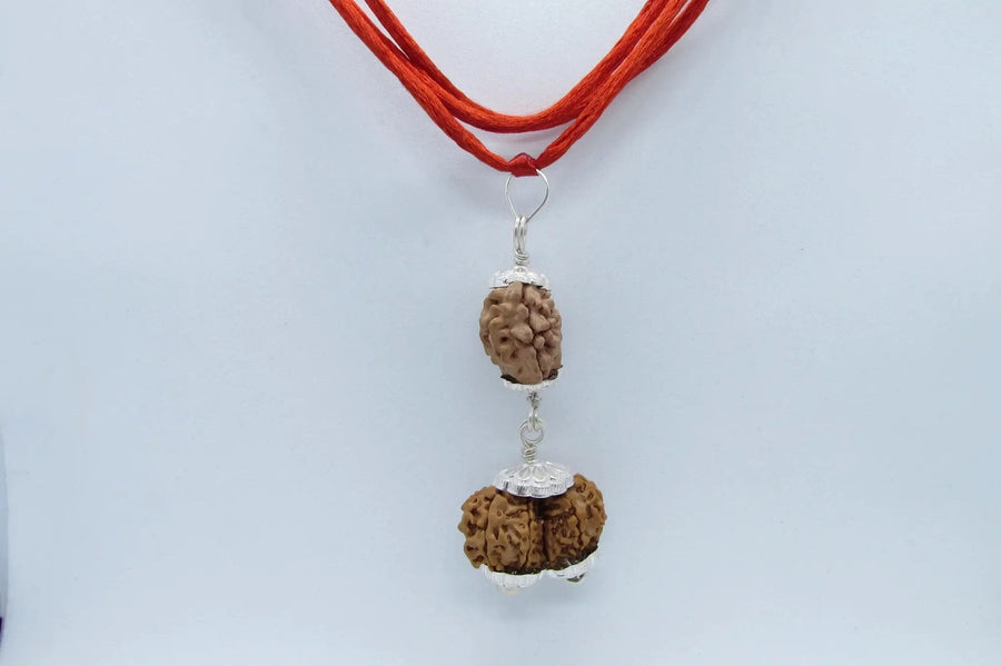 Harmonize Relationships with 2 Mukhi & Gaurishankar Rudraksha | Brahmatells by Brahmatells