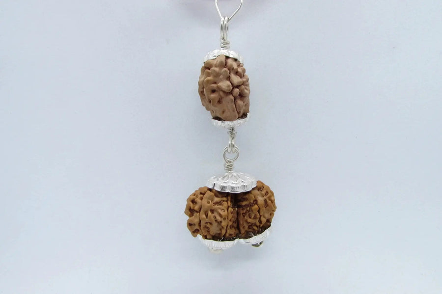 Harmonize Relationships with 2 Mukhi & Gaurishankar Rudraksha | Brahmatells by Brahmatells