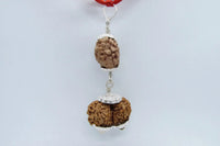 Harmonize Relationships with 2 Mukhi & Gaurishankar Rudraksha | Brahmatells by Brahmatells