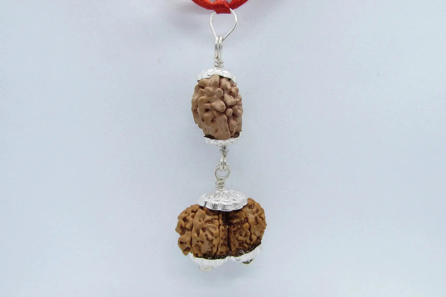 Harmonize Relationships with 2 Mukhi & Gaurishankar Rudraksha | Brahmatells by Brahmatells
