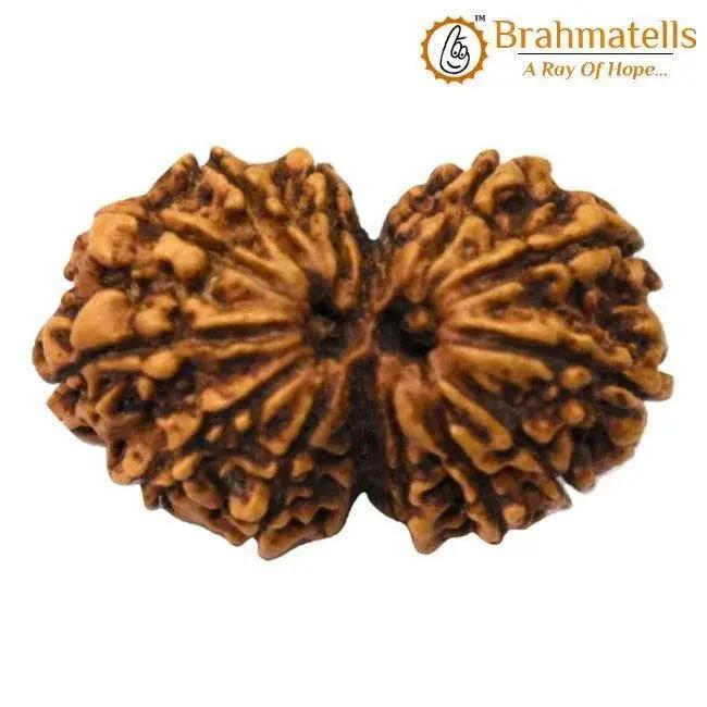 Harmonize with Gauri Shankar Rudraksha - Divine Love & Unity | Brahmatells by Brahmatells