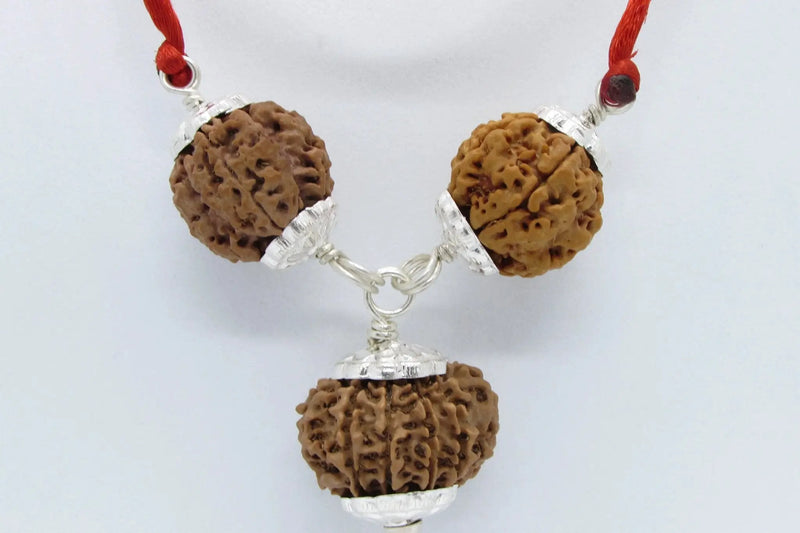 Heal Thyroid with Rudraksha Pendant: 4, 5, 11 Mukhi | Brahmatells by Brahmatells