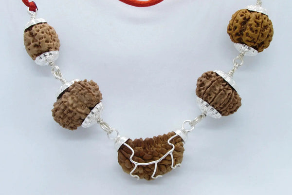 Heart Health Rudraksha Mala: Spiritual Aid for Cardio Wellness | Brahmatells by Brahmatells