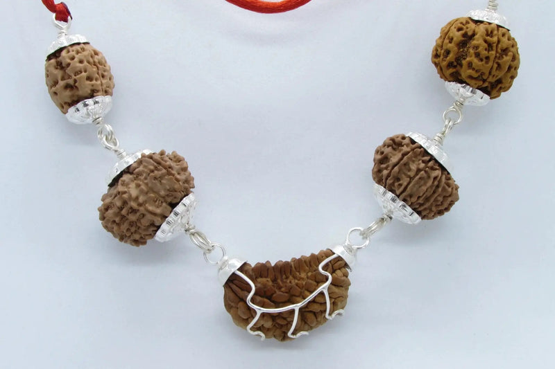 Heart Health Rudraksha Mala: Spiritual Aid for Cardio Wellness | Brahmatells by Brahmatells