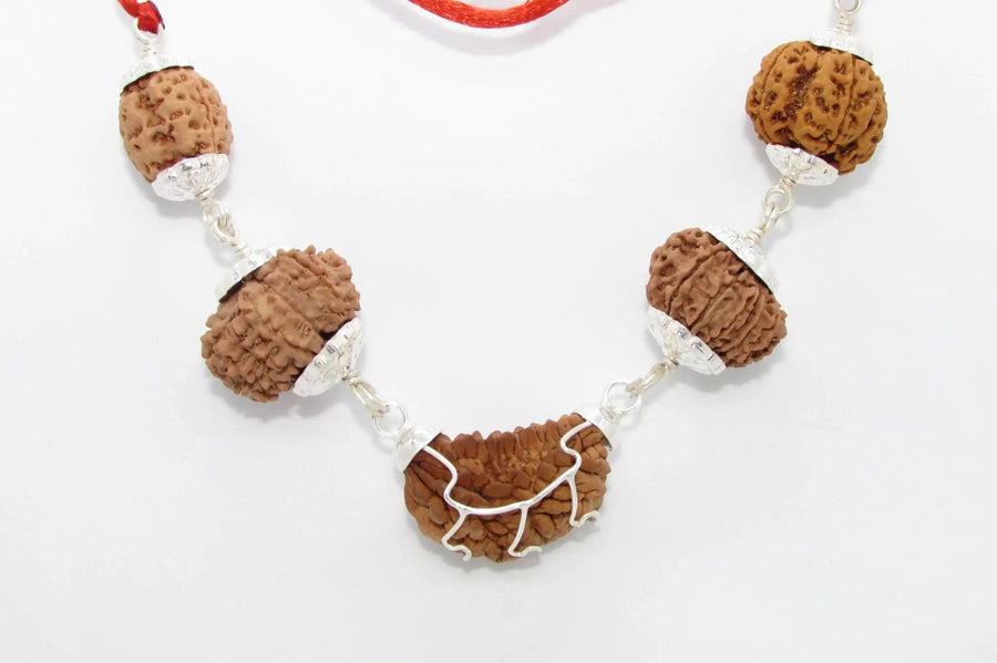 Heart Health Rudraksha Mala: Spiritual Aid for Cardio Wellness | Brahmatells by Brahmatells