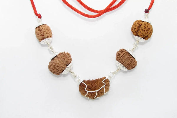 Heart Health Rudraksha Mala: Spiritual Aid for Cardio Wellness | Brahmatells by Brahmatells