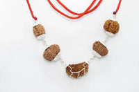 Heart Health Rudraksha Mala: Spiritual Aid for Cardio Wellness | Brahmatells by Brahmatells