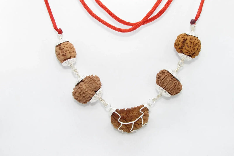 Heart Health Rudraksha Mala: Spiritual Aid for Cardio Wellness | Brahmatells by Brahmatells