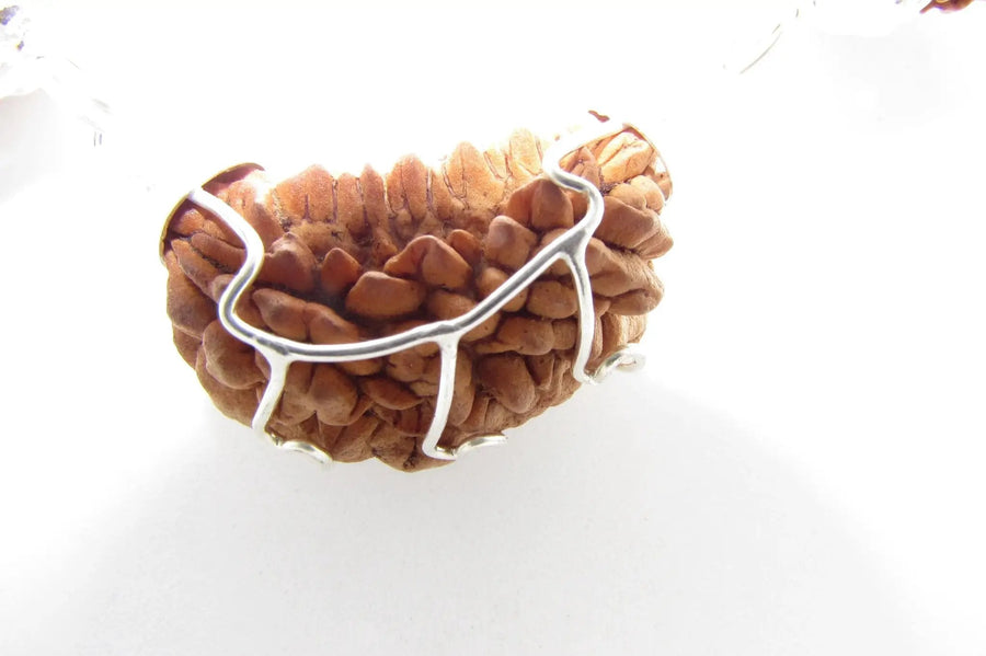 Heart Health Rudraksha Mala: Spiritual Aid for Cardio Wellness | Brahmatells by Brahmatells