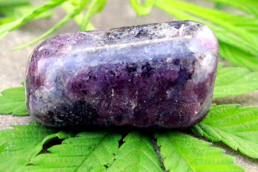 Indian Ruby Tumble by Brahmatells