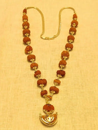 Indrakshi Mala with 1-21 Mukhi Rudrakshas - Divine Energy Spectrum | Brahmatells by Brahmatells