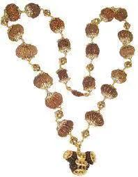 Indrakshi Mala with 1-21 Mukhi Rudrakshas - Divine Energy Spectrum | Brahmatells by Brahmatells