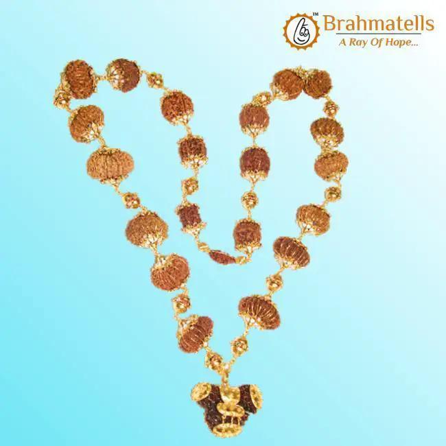 Indrakshi Mala with 1-21 Mukhi Rudrakshas - Divine Energy Spectrum | Brahmatells by Brahmatells