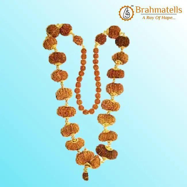 Indrakshi Mala with 1-21 Mukhi Rudrakshas - Divine Energy Spectrum | Brahmatells by Brahmatells