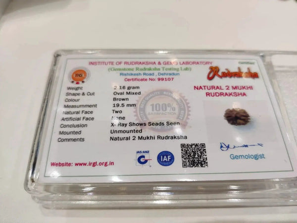Java-Origin 2 Mukhi Rudraksha Bead | Balance & Unity | Brahmatells by Brahmatells