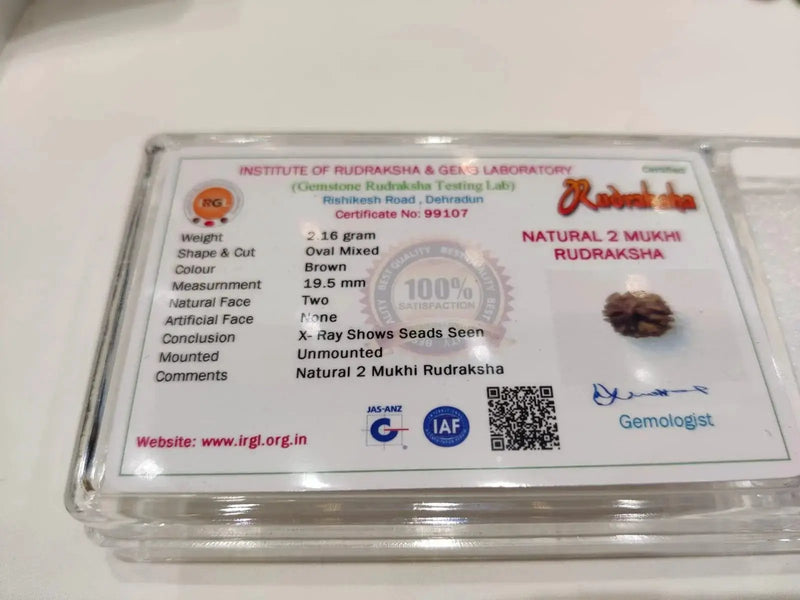 Java-Origin 2 Mukhi Rudraksha Bead | Balance & Unity | Brahmatells by Brahmatells