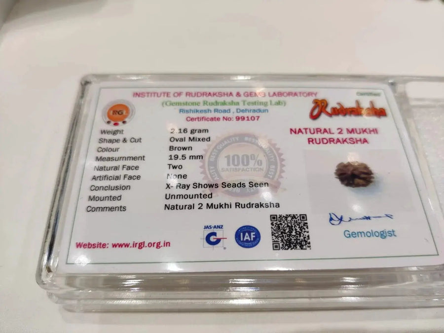 Java-Origin 2 Mukhi Rudraksha Bead | Balance & Unity | Brahmatells by Brahmatells