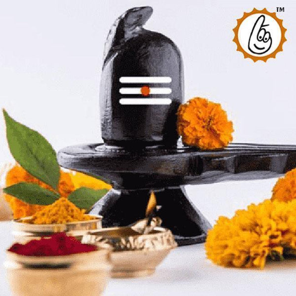 Laghu Rudra Puja Service - Attain Divine Harmony with Lord Shiva | Brahmatells by Brahmatells