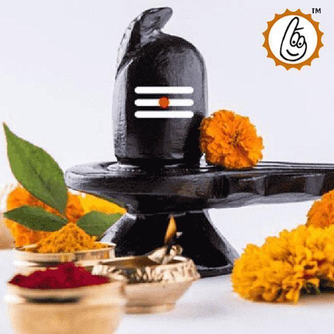 Laghu Rudra Puja Service - Attain Divine Harmony with Lord Shiva | Brahmatells by Brahmatells