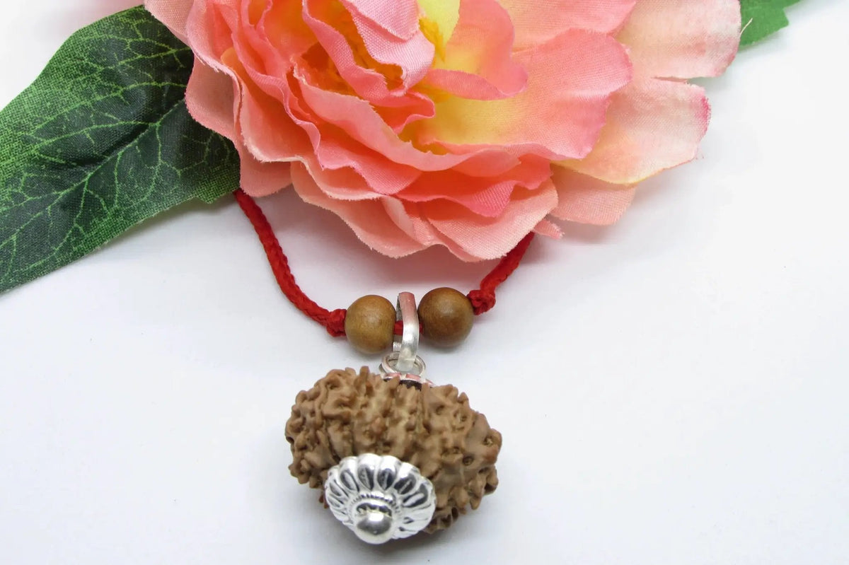 12 Mukhi Nepal Rudraksha Pendant for Leo Zodiac | Brahmatells by Brahmatells