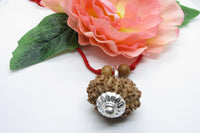 12 Mukhi Nepal Rudraksha Pendant for Leo Zodiac | Brahmatells by Brahmatells