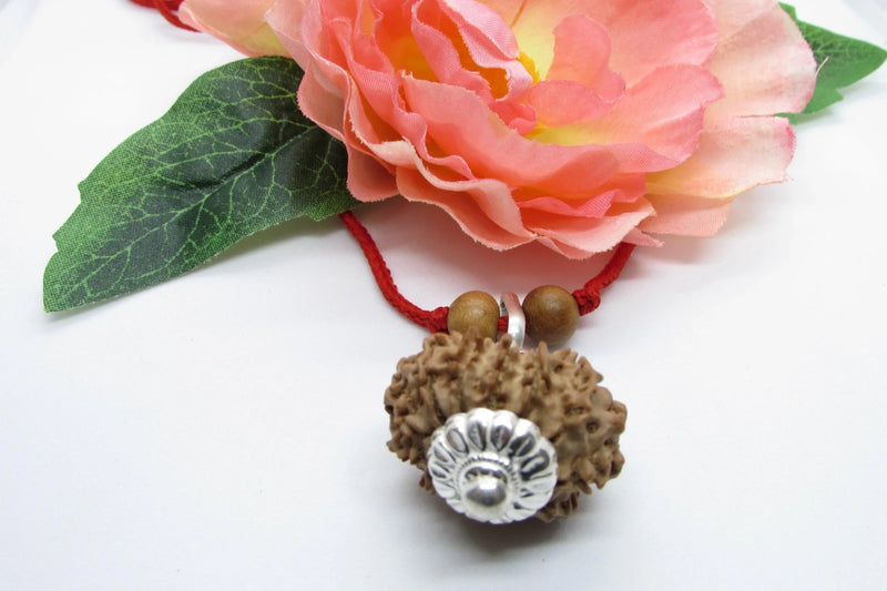12 Mukhi Nepal Rudraksha Pendant for Leo Zodiac | Brahmatells by Brahmatells