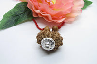 12 Mukhi Nepal Rudraksha Pendant for Leo Zodiac | Brahmatells by Brahmatells
