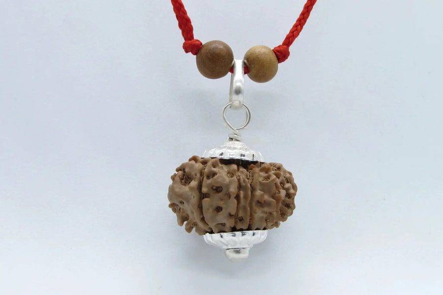 12 Mukhi Nepal Rudraksha Pendant for Leo Zodiac | Brahmatells by Brahmatells