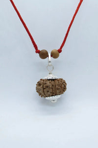12 Mukhi Nepal Rudraksha Pendant for Leo Zodiac | Brahmatells by Brahmatells