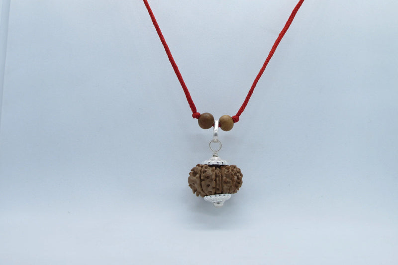 12 Mukhi Nepal Rudraksha Pendant for Leo Zodiac | Brahmatells by Brahmatells
