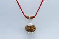 Libra 13 Mukhi Rudraksha Pendant – Nepal Bead | Brahmatells by Brahmatells