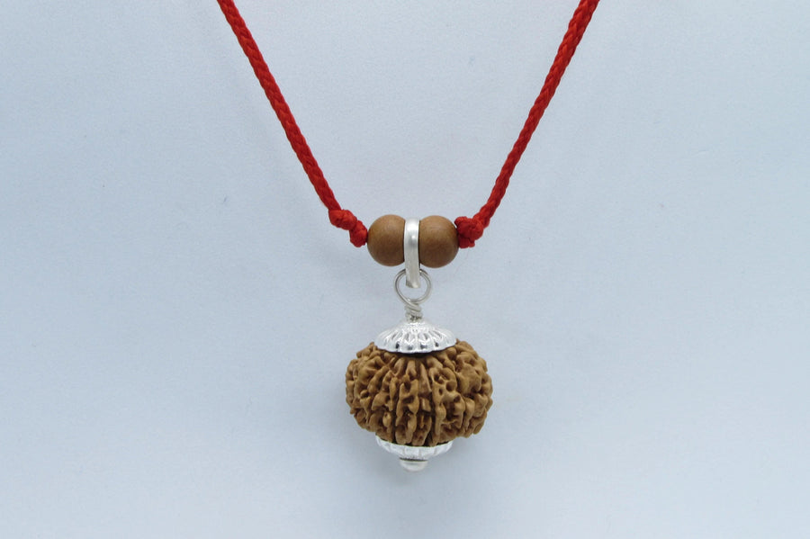 Libra 13 Mukhi Rudraksha Pendant – Nepal Bead | Brahmatells by Brahmatells