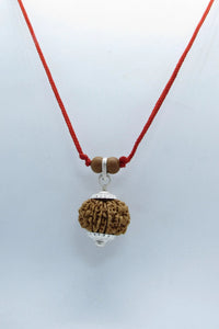 Libra 13 Mukhi Rudraksha Pendant – Nepal Bead | Brahmatells by Brahmatells