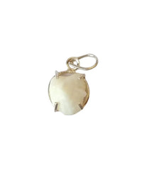 Machh Mani Locket Stone Lab Certified by Brahmatells