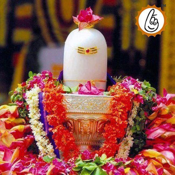 Maha Rudram by Brahmatells