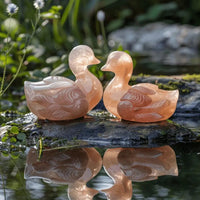 Mandarin Duck Set for Love & Harmony | Brahmatells by Brahmatells