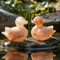 Mandarin Duck Set for Love & Harmony | Brahmatells by Brahmatells