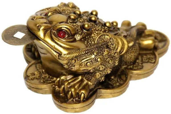 Money Frog With Coin - Brass Color by Brahmatells