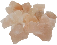 Multicolor Himalayan Salt Lamp for Vastu & Feng Shui Harmony | Brahmatells by Brahmatells