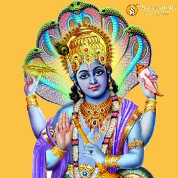 Narayan Naagbali by Brahmatells