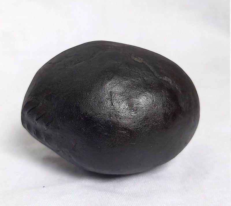 Natural Black Shaligram Stone with Vishnu Chakra | Brahmatells by Brahmatells