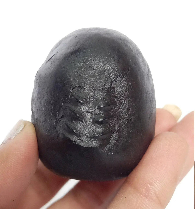 Natural Black Shaligram Stone with Vishnu Chakra | Brahmatells by Brahmatells