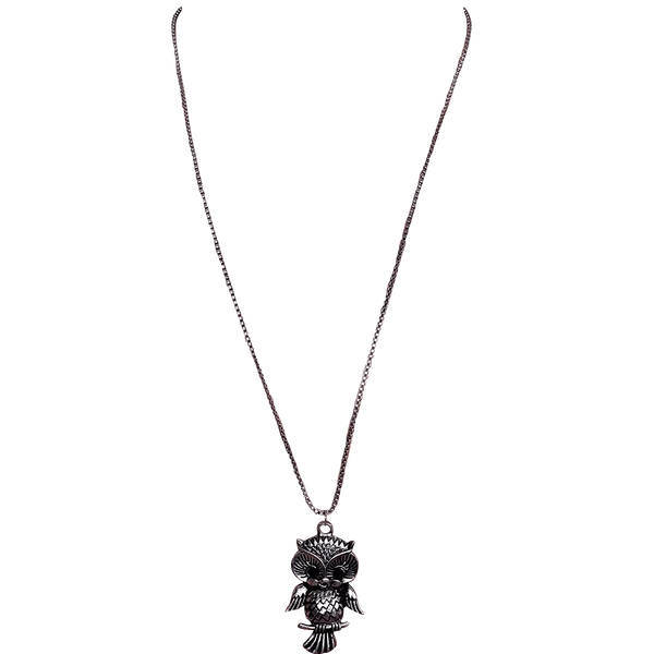 Necklace with long chain for girls, Oxidised Metal Owl Pendant by Brahmatells