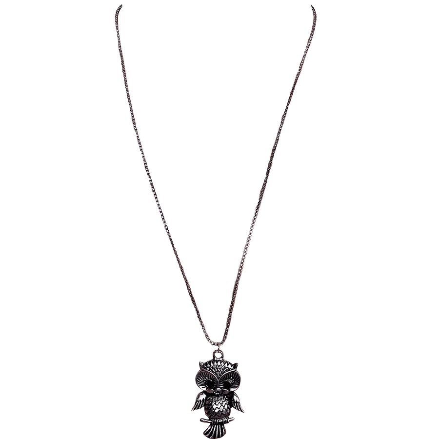 Necklace with long chain for girls, Oxidised Metal Owl Pendant by Brahmatells
