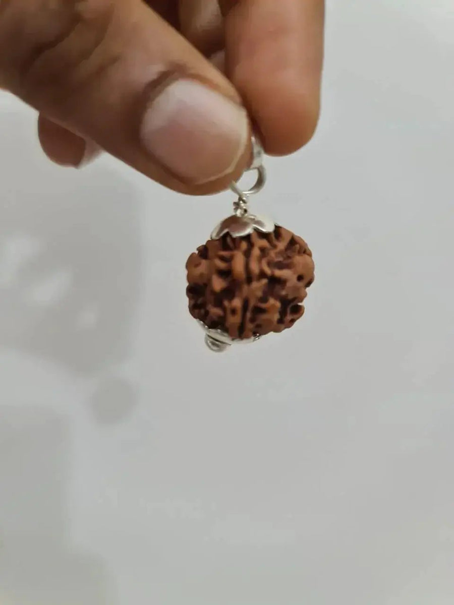 Nepal's Finest 1 Mukhi Rudraksha - Ultimate Peace & Clarity with Shiva | Brahmatells by Brahmatells